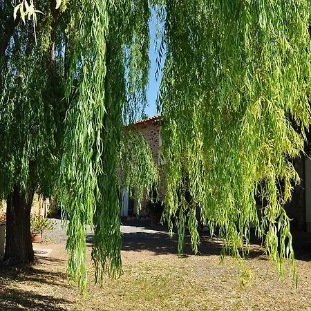 Agriturismo Terenzana
