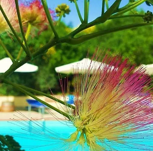 Agriturismo Terenzana * Riparbella