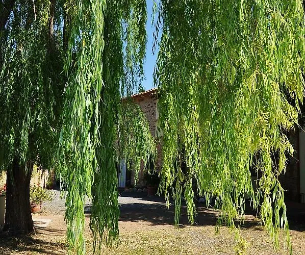 Agriturismo Terenzana